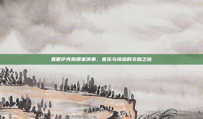 直管萨克斯回家演奏,音乐与情感的交融之旅
