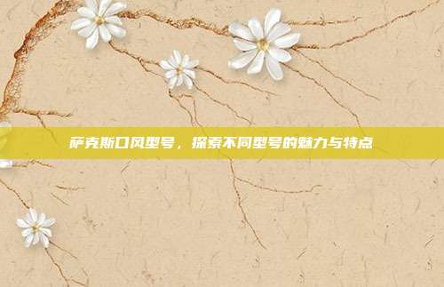 萨克斯口风型号，探索不同型号的魅力与特点