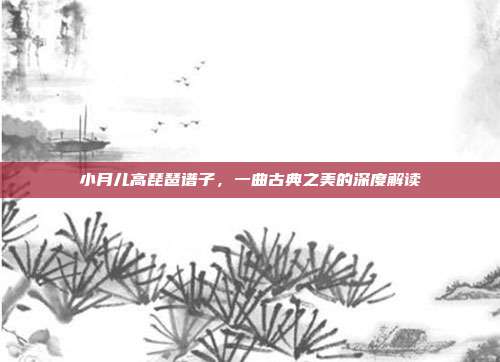 小月儿高琵琶谱子,一曲古典之美的深度解读