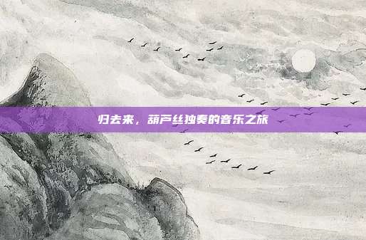 归去来,葫芦丝独奏的音乐之旅