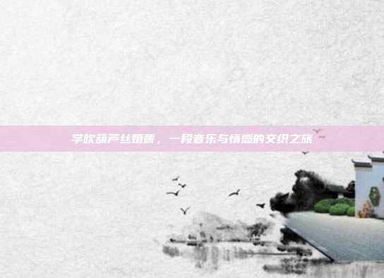 学吹葫芦丝婚誓,一段音乐与情感的交织之旅
