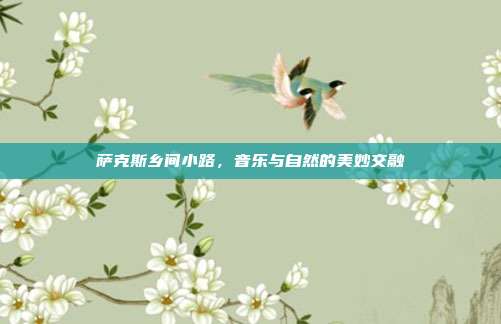 萨克斯乡间小路,音乐与自然的美妙交融