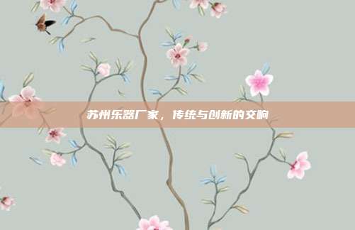 苏州乐器厂家,传统与创新的交响