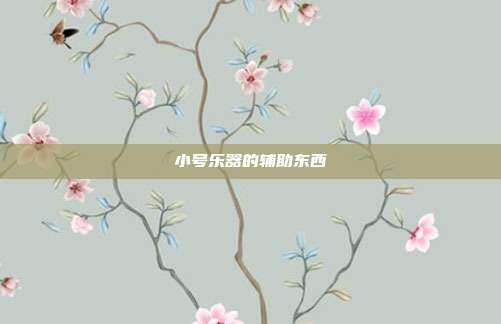 小号乐器的辅助东西