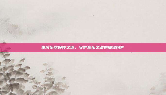 重庆乐器保养之道,守护音乐之魂的细致呵护