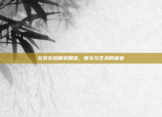 北京乐器展农展馆,音乐与艺术的盛宴