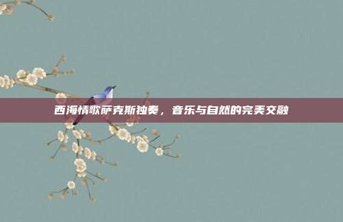 西海情歌萨克斯独奏,音乐与自然的完美交融