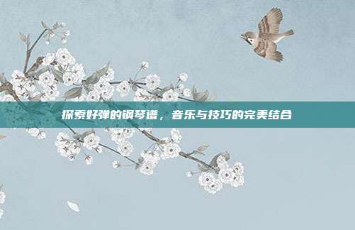 探索好弹的钢琴谱,音乐与技巧的完美结合