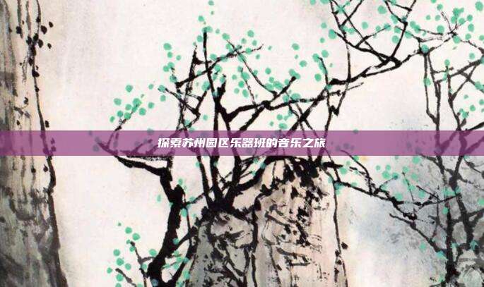 探索苏州园区乐器班的音乐之旅