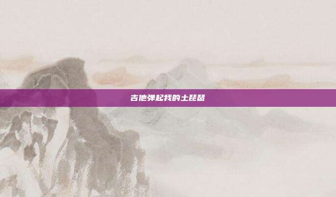 吉他弹起我的土琵琶