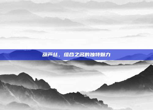 葫芦丝，组合之名的独特魅力