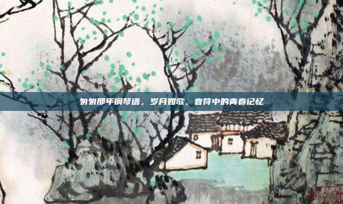 匆匆那年钢琴谱,岁月如歌,音符中的青春记忆