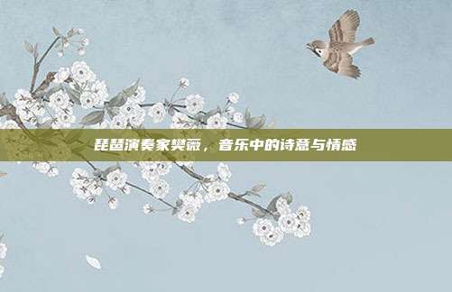 琵琶演奏家樊薇,音乐中的诗意与情感