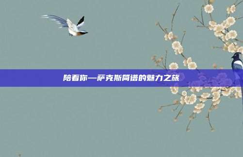 陪着你—萨克斯简谱的魅力之旅