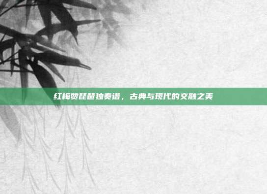 红梅赞琵琶独奏谱,古典与现代的交融之美
