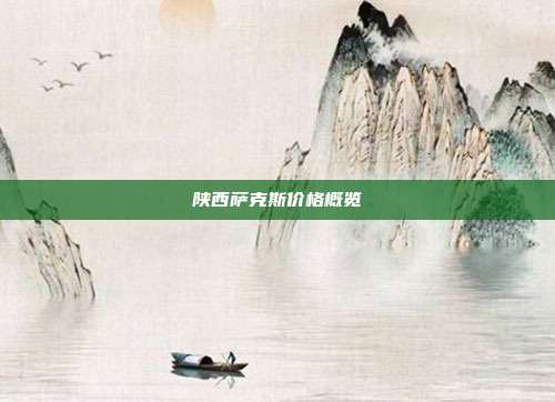 陕西萨克斯价格概览