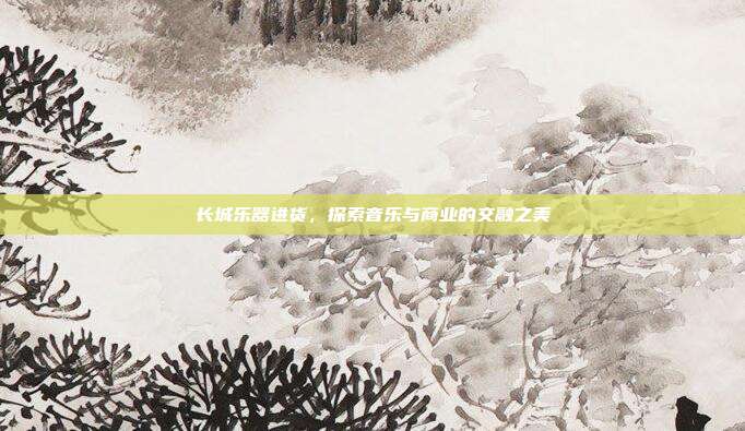 长城乐器进货,探索音乐与商业的交融之美