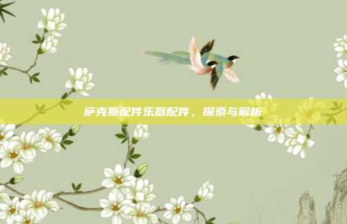 萨克斯配件乐器配件,探索与解析