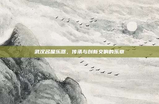 武汉名屋乐器,传承与创新交响的乐章