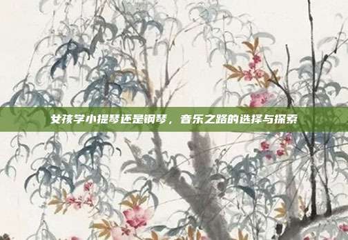 女孩学小提琴还是钢琴,音乐之路的选择与探索