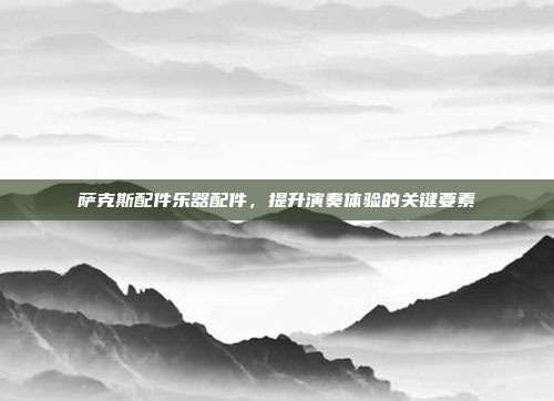 萨克斯配件乐器配件,提升演奏体验的关键要素