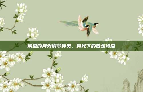 城里的月光钢琴伴奏，月光下的音乐诗篇
