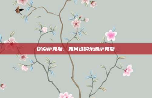 探索萨克斯,如何选购乐器萨克斯
