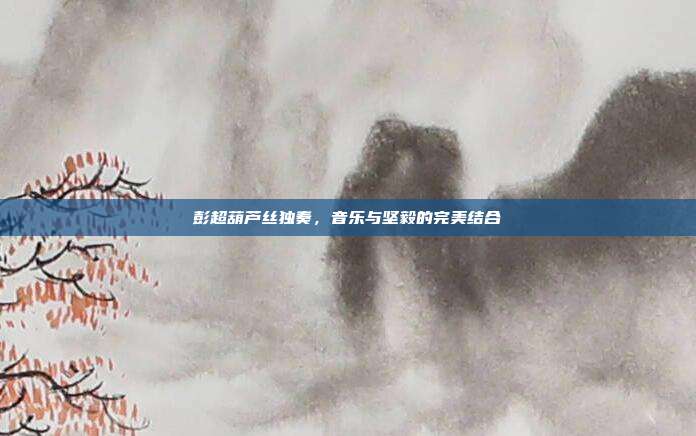 彭超葫芦丝独奏,音乐与坚毅的完美结合