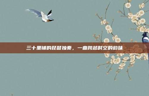 三十里铺的琵琶独奏,一曲跨越时空的韵味