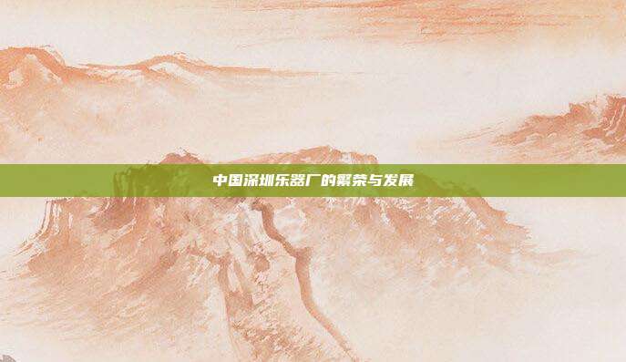 中国深圳乐器厂的繁荣与发展