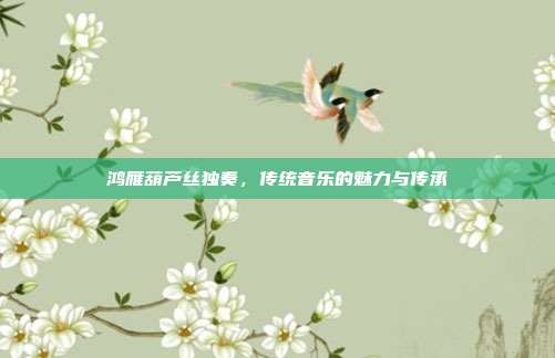 鸿雁葫芦丝独奏,传统音乐的魅力与传承