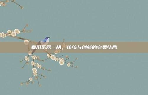 秦川乐器二胡，传统与创新的完美结合