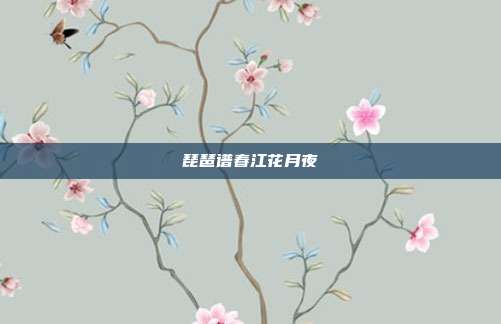 琵琶谱春江花月夜