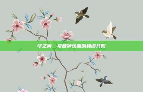 琴之舞,与各种乐器的和谐共鸣