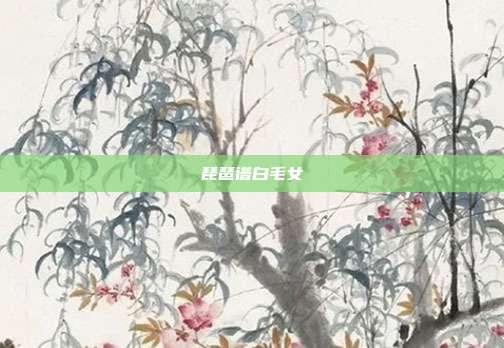 琵琶谱白毛女