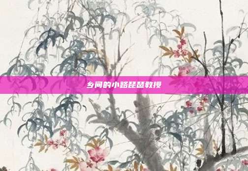 乡间的小路琵琶教授