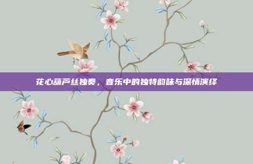 花心葫芦丝独奏，音乐中的独特韵味与深情演绎