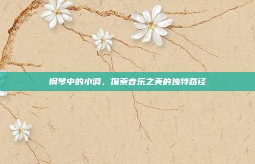 钢琴中的小调，探索音乐之美的独特路径