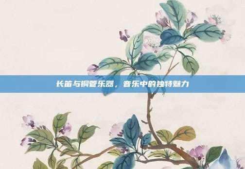 长笛与铜管乐器，音乐中的独特魅力