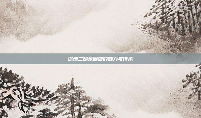 深圳二胡乐器店的魅力与传承