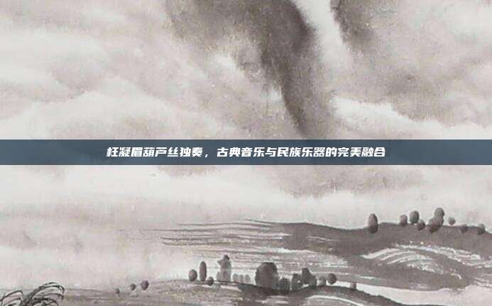 枉凝眉葫芦丝独奏，古典音乐与民族乐器的完美融合