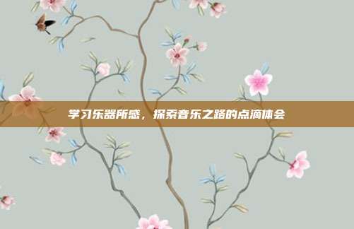 学习乐器所感，探索音乐之路的点滴体会