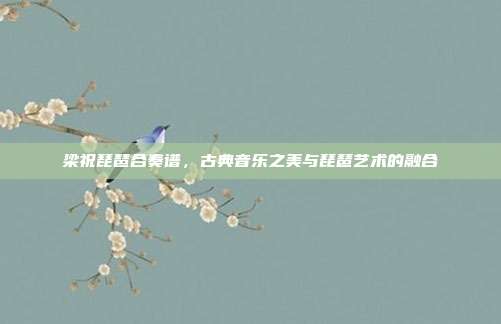 梁祝琵琶合奏谱，古典音乐之美与琵琶艺术的融合