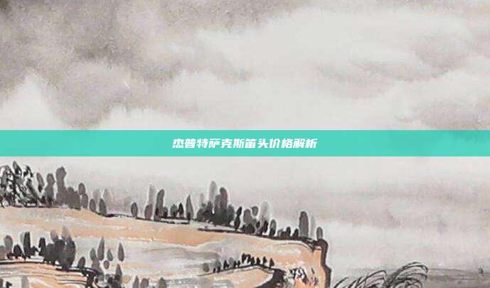 杰普特萨克斯笛头价格解析