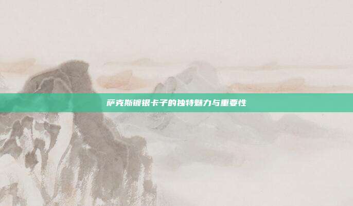 萨克斯镀银卡子的独特魅力与重要性