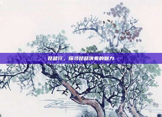 琵琶行，探寻琵琶演奏的魅力