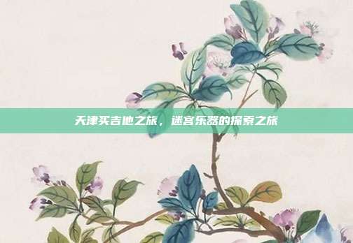 天津买吉他之旅，迷宫乐器的探索之旅