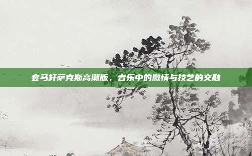 套马杆萨克斯高潮版,音乐中的激情与技艺的交融