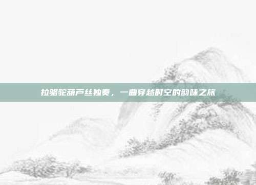 拉骆驼葫芦丝独奏，一曲穿越时空的韵味之旅