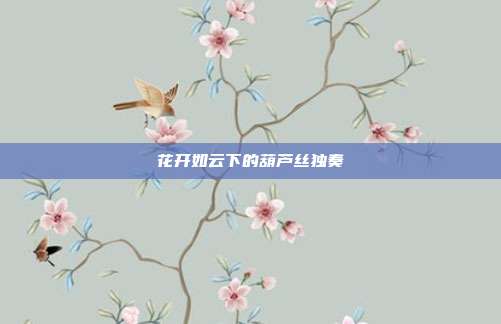 花开如云下的葫芦丝独奏